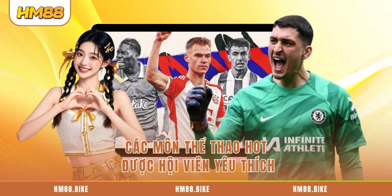 Các môn thể thao hot được hội viên yêu thích